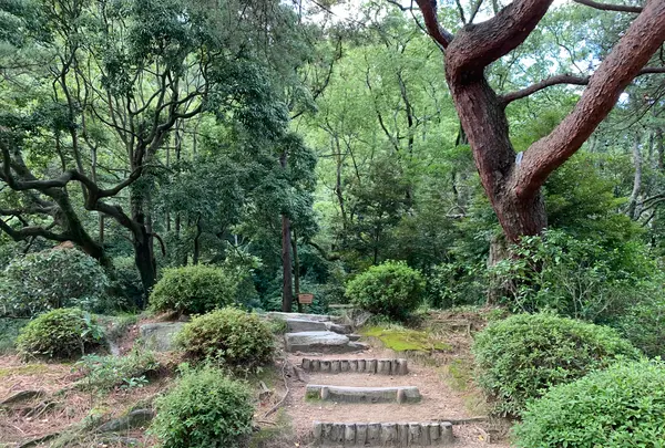 栗林公園の写真・動画_image_392815
