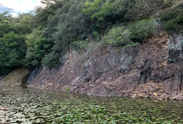 栗林公園の写真・動画_image_392819
