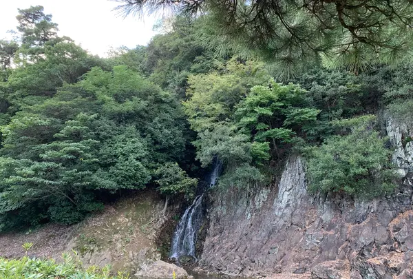 栗林公園の写真・動画_image_392820