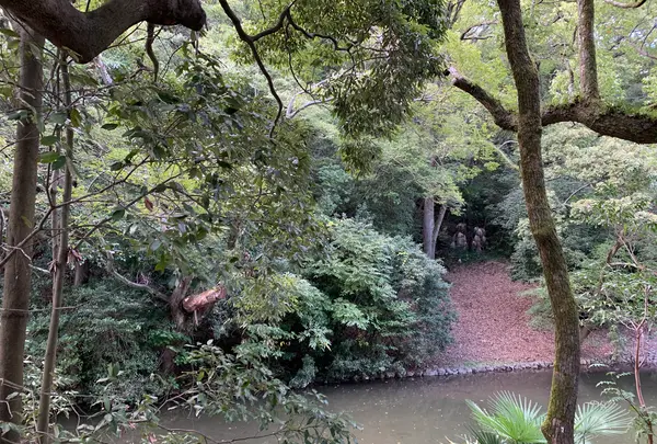 栗林公園の写真・動画_image_392822