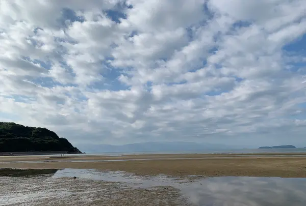 父母ヶ浜海岸の写真・動画_image_392844