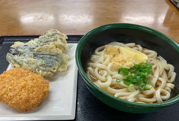 山下手打うどんの写真・動画_image_392845