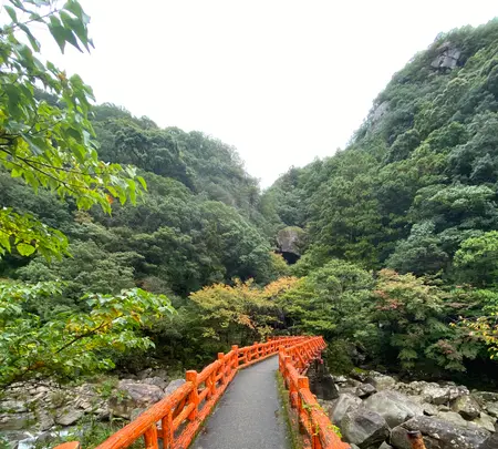 奇絶峡の写真・動画_image_393023