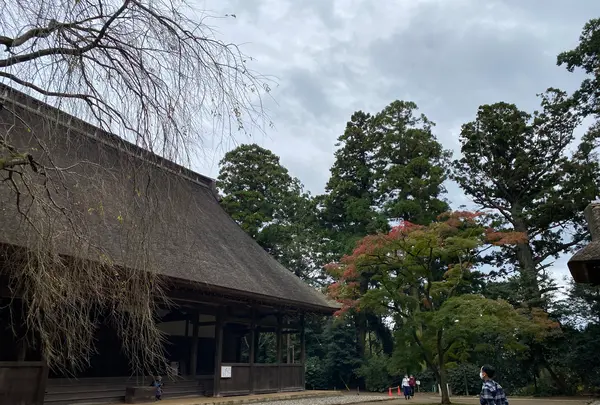 飯高寺（飯高檀林跡）の写真・動画_image_393481