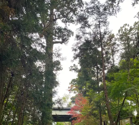 飯高寺（飯高檀林跡）の写真・動画_image_393482