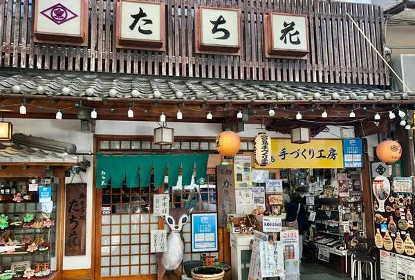 お食事処 たち花の写真・動画_image_393657