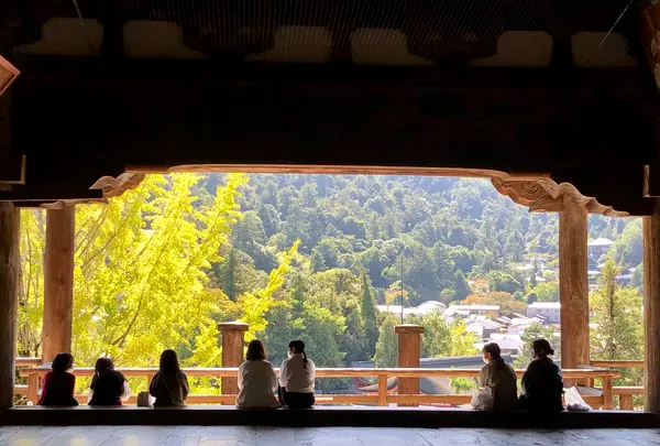 豊国神社（千畳閣）の写真・動画_image_394044