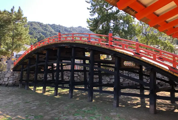 大國神社の写真・動画_image_394099