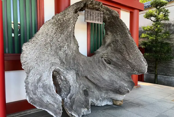 嚴島神社 寶物館（厳島神社 宝物館）の写真・動画_image_394126