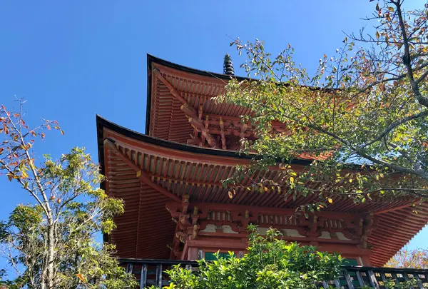 多宝塔の写真・動画_image_394136