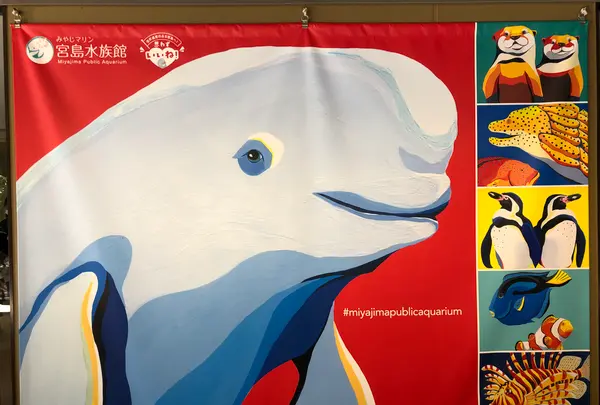 宮島水族館 みやじマリンの写真・動画_image_394150