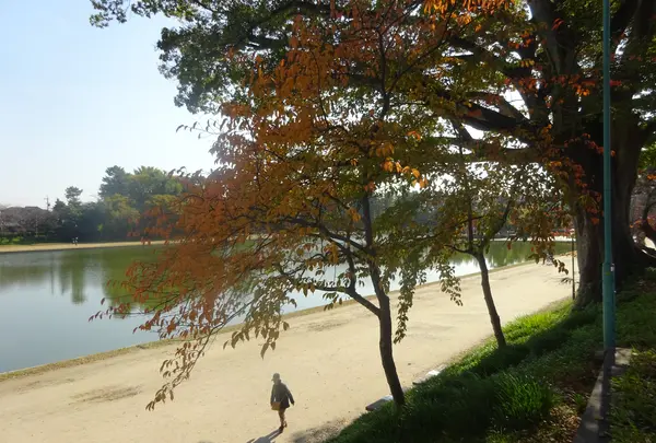 天王川公園の写真・動画_image_394161