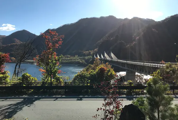 道の駅 八ッ場ふるさと館の写真・動画_image_394437