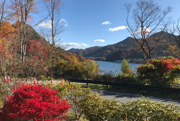 道の駅 八ッ場ふるさと館の写真・動画_image_394438