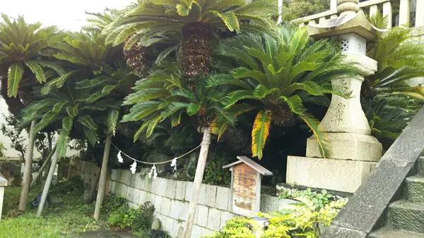 中島三郎助の墓の写真・動画_image_394449