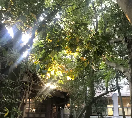 松風閣庭園の写真・動画_image_394955