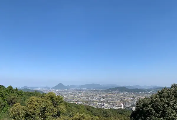 金刀比羅宮（こんぴらさん）の写真・動画_image_395280