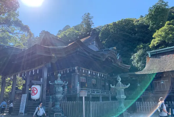金刀比羅宮（こんぴらさん）の写真・動画_image_395284