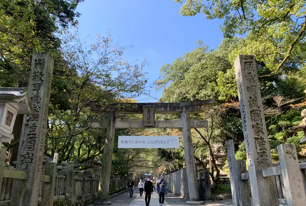 金刀比羅宮（こんぴらさん）の写真・動画_image_395291