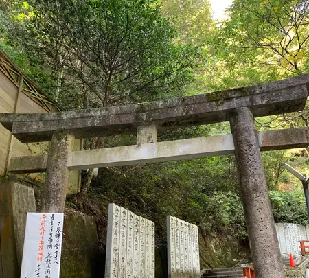 金刀比羅宮（こんぴらさん）の写真・動画_image_395312