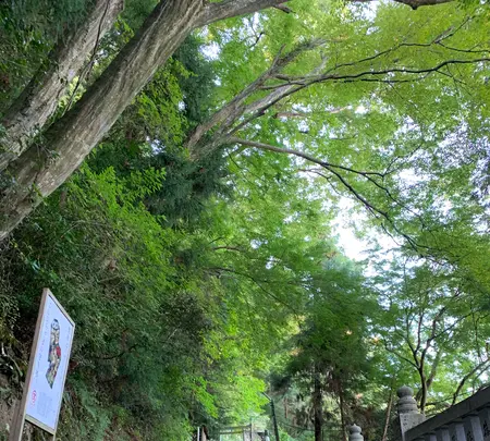 金刀比羅宮（こんぴらさん）の写真・動画_image_395315