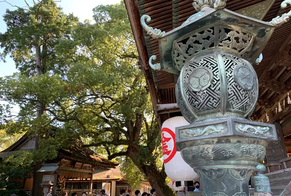 金刀比羅宮（こんぴらさん）の写真・動画_image_395325