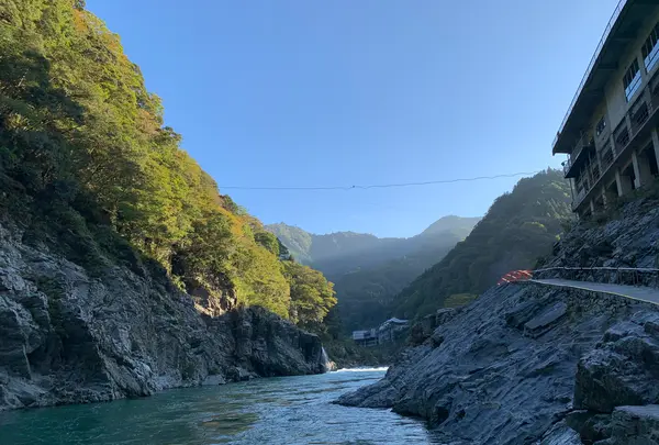 大歩危・小歩危の写真・動画_image_395342