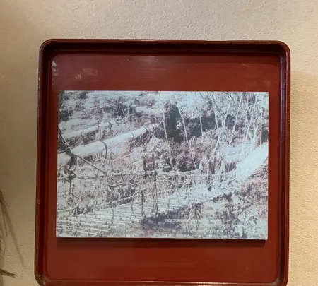 祖谷のかずら橋の写真・動画_image_395349