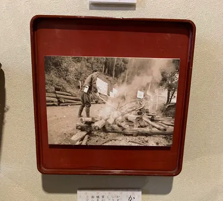 祖谷のかずら橋の写真・動画_image_395350