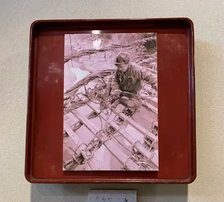 祖谷のかずら橋の写真・動画_image_395352