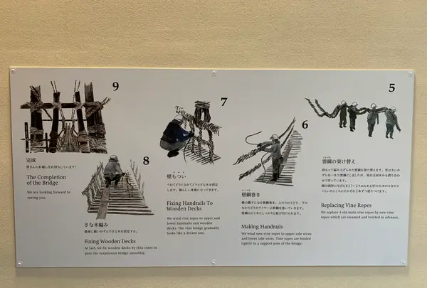 祖谷のかずら橋の写真・動画_image_395354
