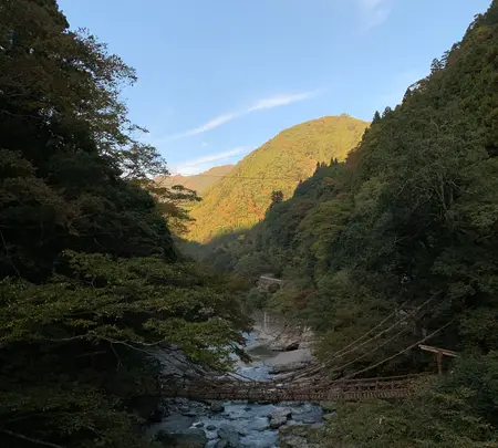 祖谷のかずら橋の写真・動画_image_395355