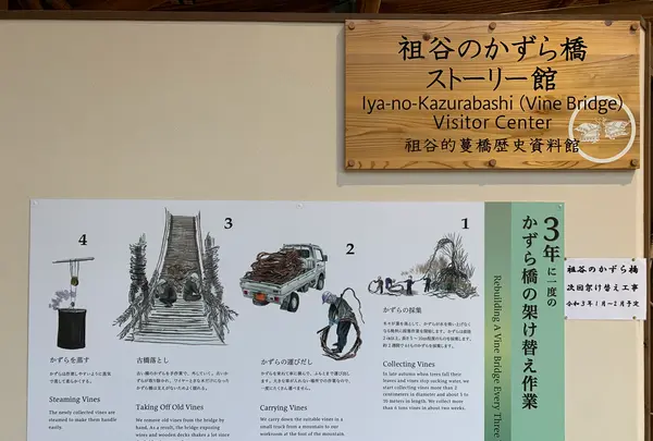 祖谷のかずら橋の写真・動画_image_395356