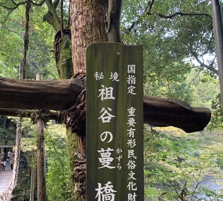 祖谷のかずら橋の写真・動画_image_395358