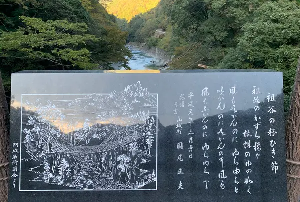 祖谷のかずら橋の写真・動画_image_395359