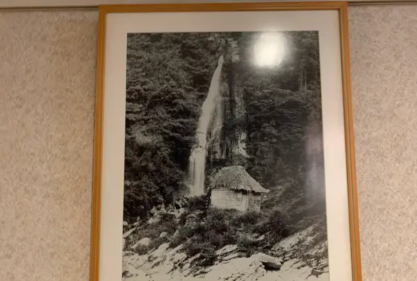 祖谷渓温泉ホテル 秘境の湯の写真・動画_image_395377