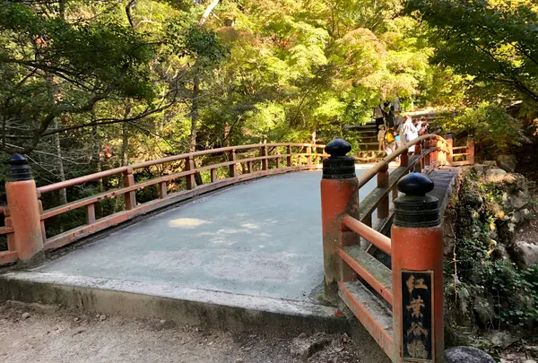 紅葉谷の写真・動画_image_395518