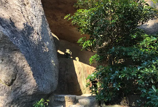 くぐり岩の写真・動画_image_395532