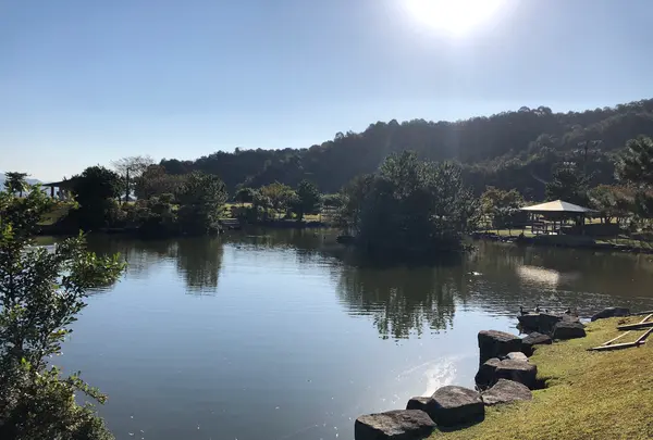 廿日市市宮島包ヶ浦自然公園の写真・動画_image_395542