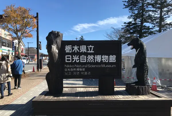 日光山中禅寺立木観音堂の写真・動画_image_395870