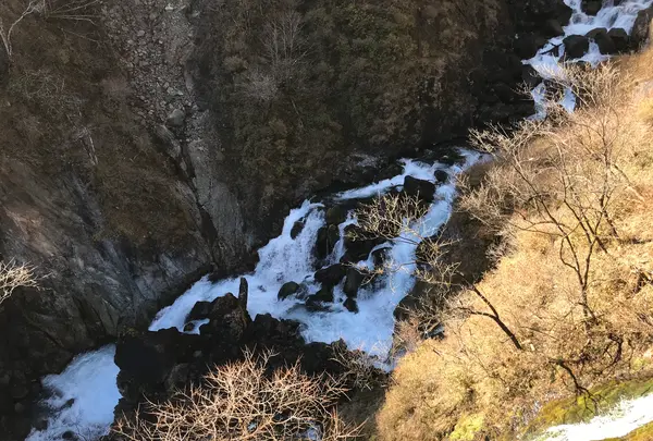 日光山中禅寺立木観音堂の写真・動画_image_395875