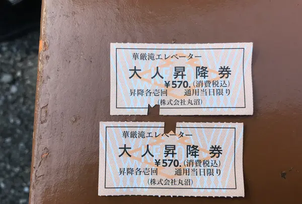 日光山中禅寺立木観音堂の写真・動画_image_395877