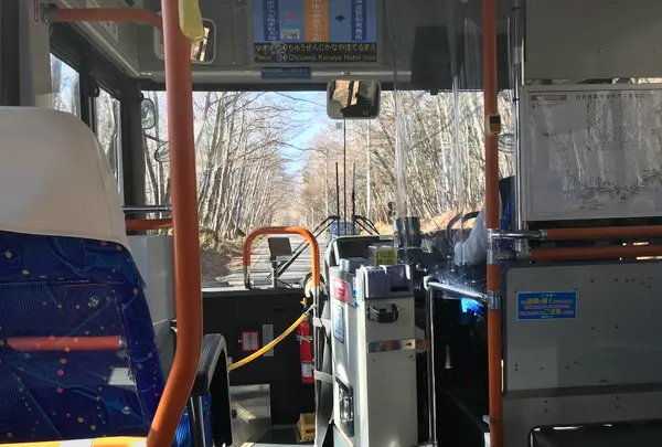 日光山中禅寺立木観音堂の写真・動画_image_395890