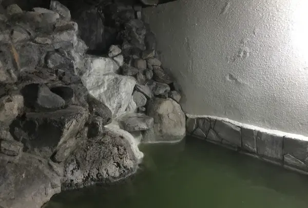 日光湯元温泉 奥日光小西ホテルの写真・動画_image_395936