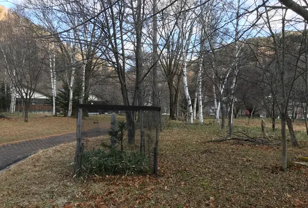 中禅寺湖の写真・動画_image_395977