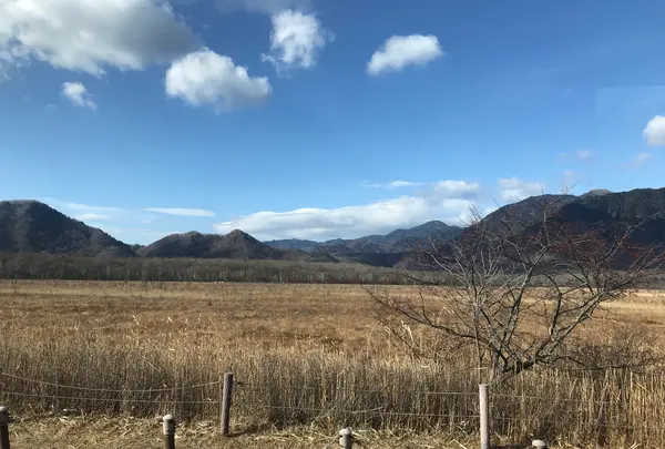 中禅寺湖の写真・動画_image_395985
