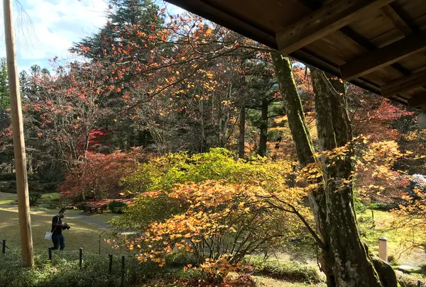 日光田母沢御用邸記念公園の写真・動画_image_396022