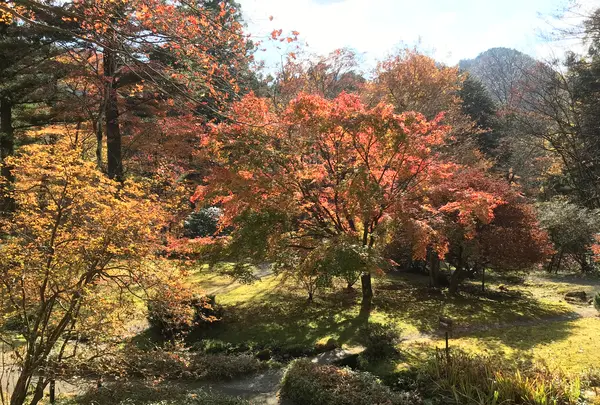 日光田母沢御用邸記念公園の写真・動画_image_396023