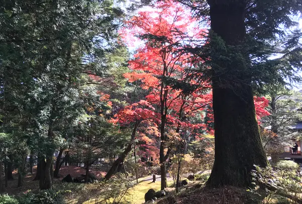 日光田母沢御用邸記念公園の写真・動画_image_396026