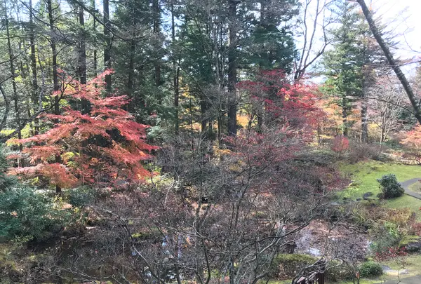 日光田母沢御用邸記念公園の写真・動画_image_396028